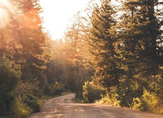 De la sabiduría al gozo
