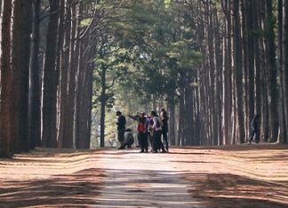 Fuera del campamento