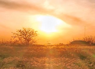 Saltar en la libertad