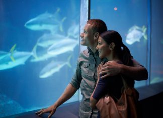 Aprender a disfrutar el tiempo en pareja