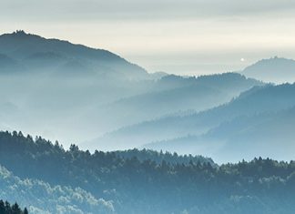 Con nosotros en el valle