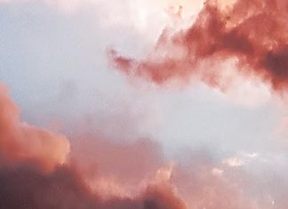 Un glosario del dolor