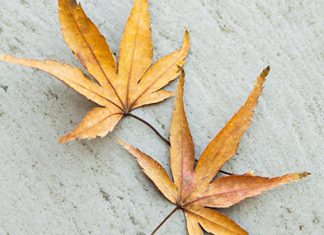 Nada puede separarnos