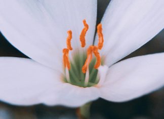 Cuando no puedes continuar