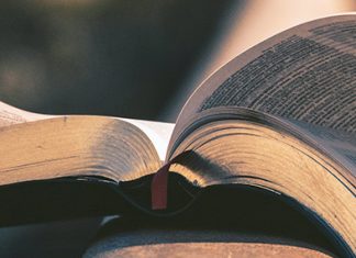 El Verbo y un nuevo año