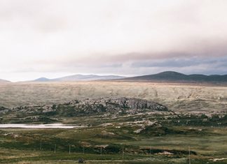 Una inversión absurda