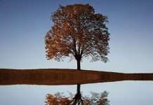 En Dios ponemos nuestra confianza