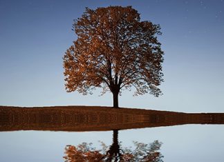 En Dios ponemos nuestra confianza