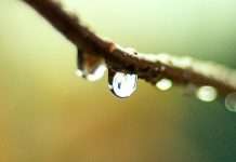 Lágrimas justificadas