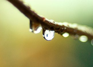 Lágrimas justificadas