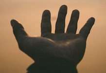 Como nosotros, por nosotros