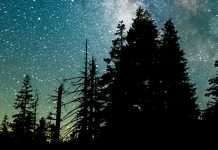 «Y era ya de noche»