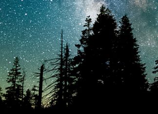 «Y era ya de noche»