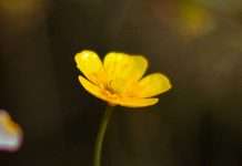 Testigos donde trabajamos