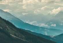 Gratitud en el Día de la Tierra