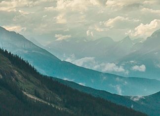 Gratitud en el Día de la Tierra