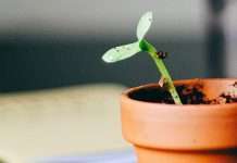 Un espíritu enseñable