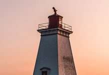 Los músculos de la fe