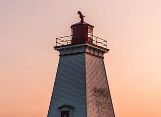 Los músculos de la fe