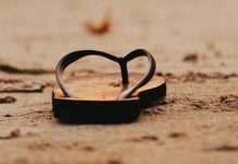 Huéspedes indeseados