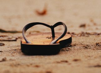 Huéspedes indeseados