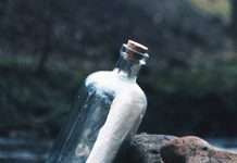 ¡Qué gran hallazgo!