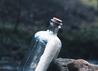 ¡Qué gran hallazgo!