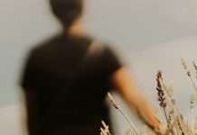 Seguido por la bondad de Dios