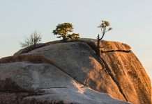 Ceder el control a Dios