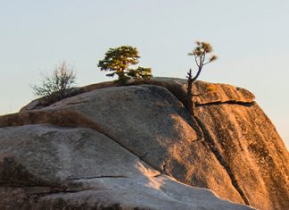 Ceder el control a Dios