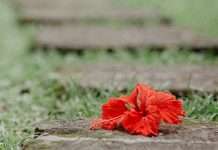 Gracia para las pruebas