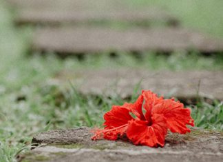 Gracia para las pruebas