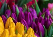 La metáfora del matrimonio