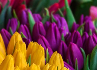 La metáfora del matrimonio