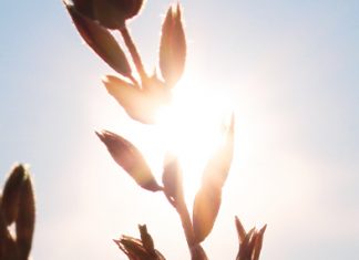 Dios redime nuestro dolor