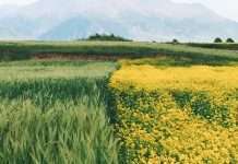 Ambas cosas son verdad