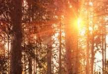 Esperanzas y anhelos