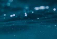 El significado de la vida