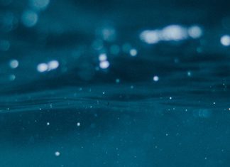 El significado de la vida