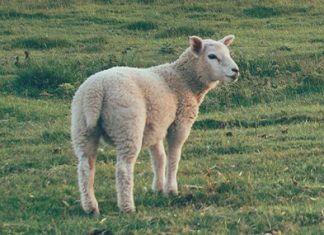 Los lugares más profundos