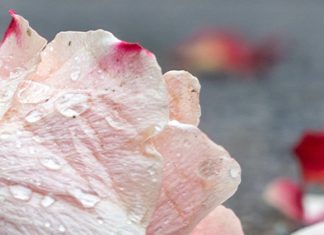 Bendición en las lágrimas