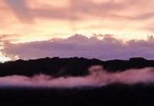 Si solo pudiera imaginar