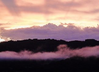 Si solo pudiera imaginar