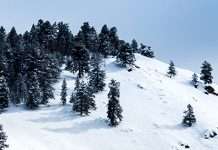 Limpios por completo