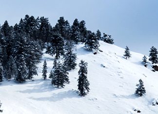 Limpios por completo