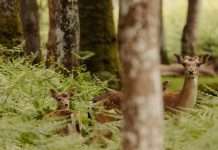 Acordarse de olvidar