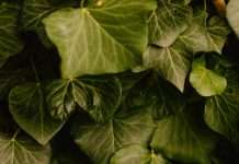 Abusar del nombre de Dios