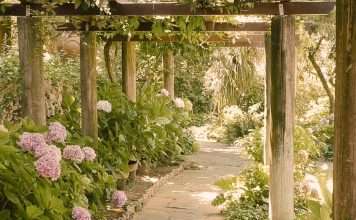 Actos amorosos de Dios