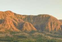 Vidas ofrecidas a Dios