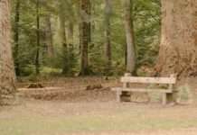 Hecho para la comunidad